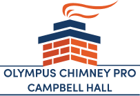 Olympus Chimney Pro